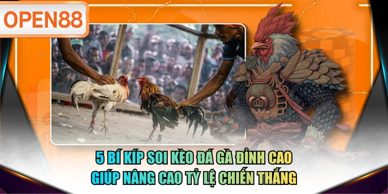5 bí kíp soi kèo đá gà đỉnh cao giúp nâng cao tỷ lệ chiến thắng