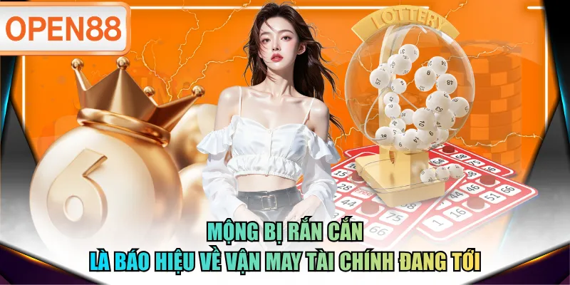 Mộng bị rắn cắn là báo hiệu về vận may tài chính đang tới